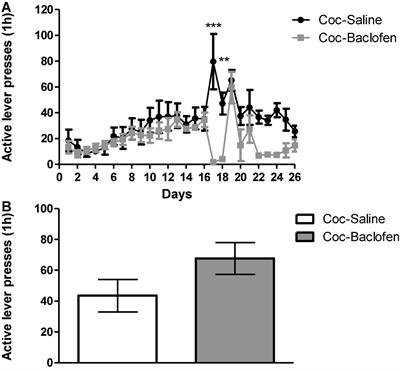 Novel Opipramol-Baclofen Combination Alleviates Depression and Craving and Facilitates Recovery From Substance Use Disorder—An Animal Model and a Human Study